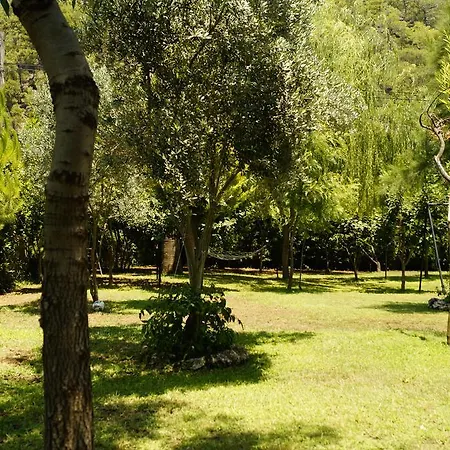 Hotel Dalos 2*