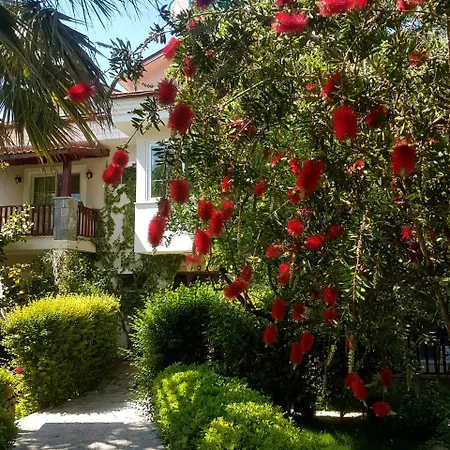 Hotel Dalos